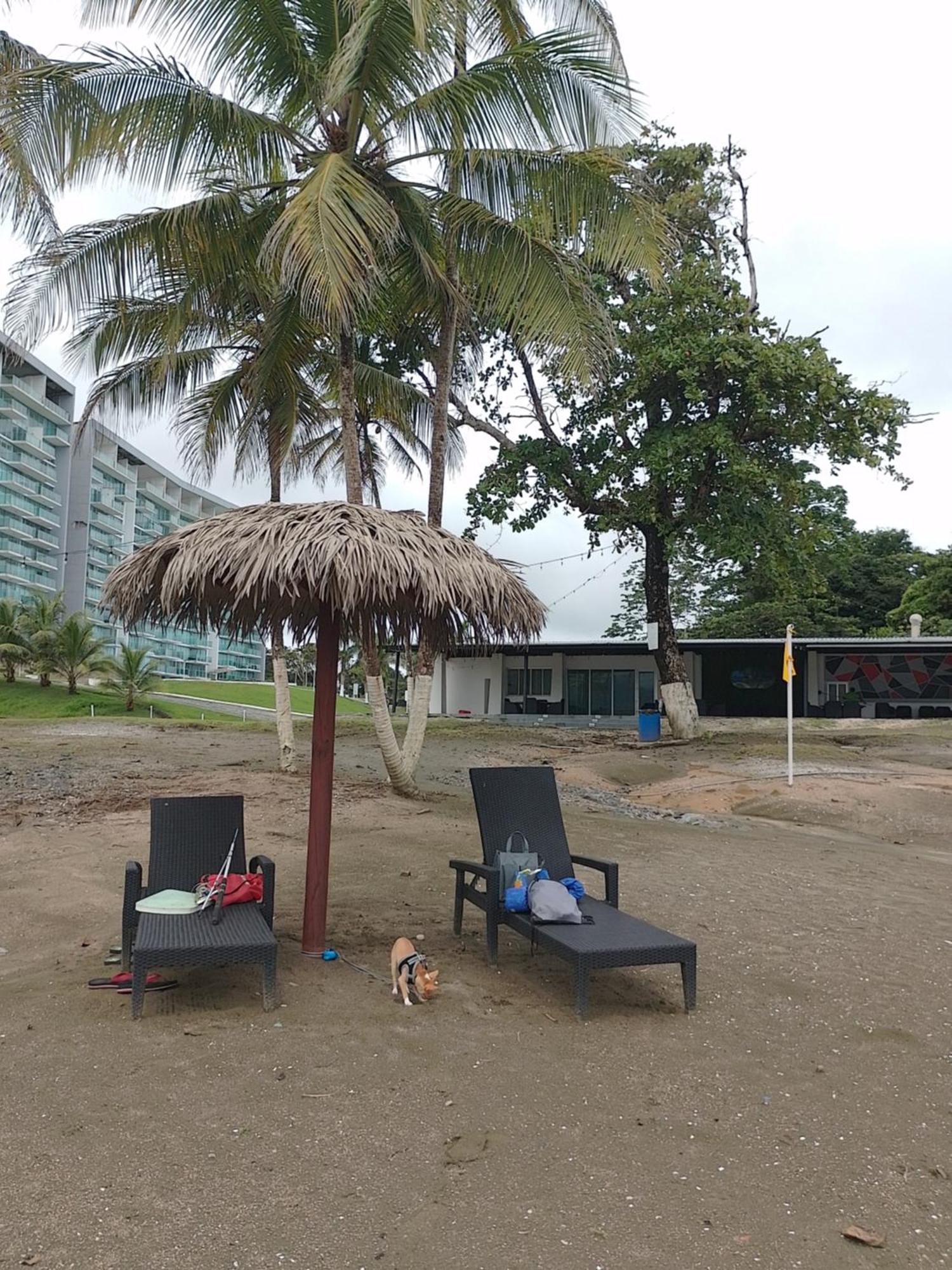 Apartamento En Balabeach Maria Chiquita In Front Of The Beach 2Hab Колон Номер фото